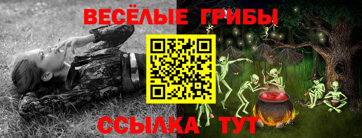 Урус-Мартан  Псилоцибиновые грибы Cubensis  Вход с VPN 