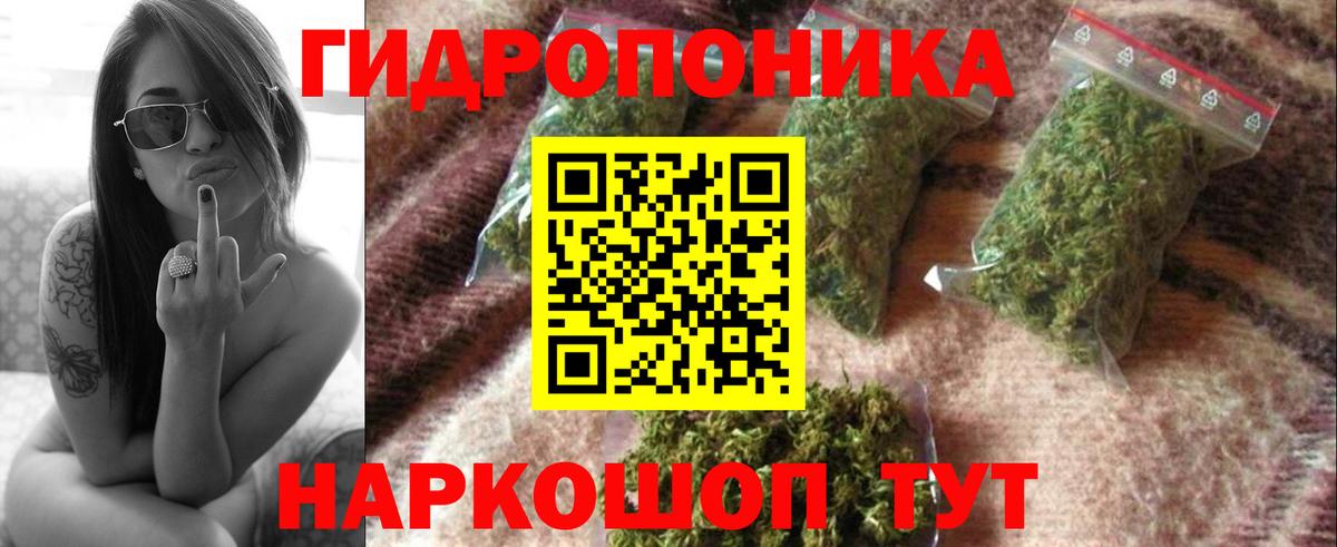 Каннабис планчик  Марихуана конопля  Урус-Мартан  Вход с VPN 